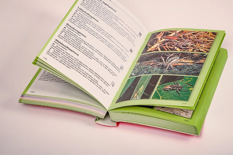 Abbildung einer außergewöhnlich hochwertigen 4-seitigen Freirückenbroschur mit Papier oder Gewebe hinterklebt. Produziert von der Conzella – Mit Leidenschaft zum Buch.
